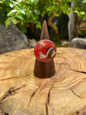 Exclusivo Anillo Piedras Redondo Plateado